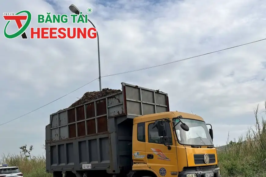 dăm gỗ xuất khẩu
