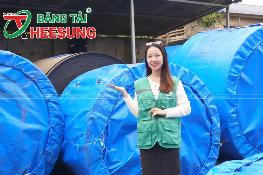 đặt mua băng tải khổ lớn