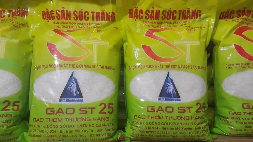 gao-st-25