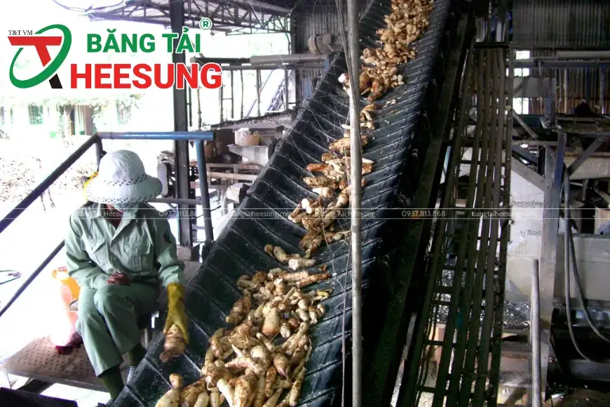 khả năng vận chuyển của băng tải