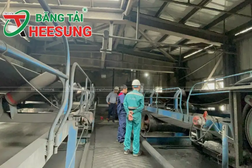 khảo sát và tư vấn băng tải