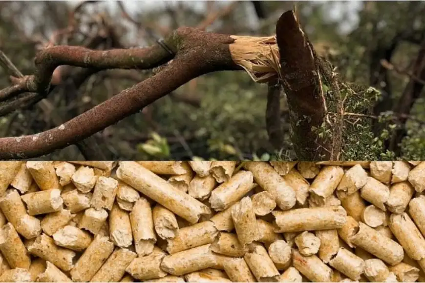 tận dụng gỗ thừa