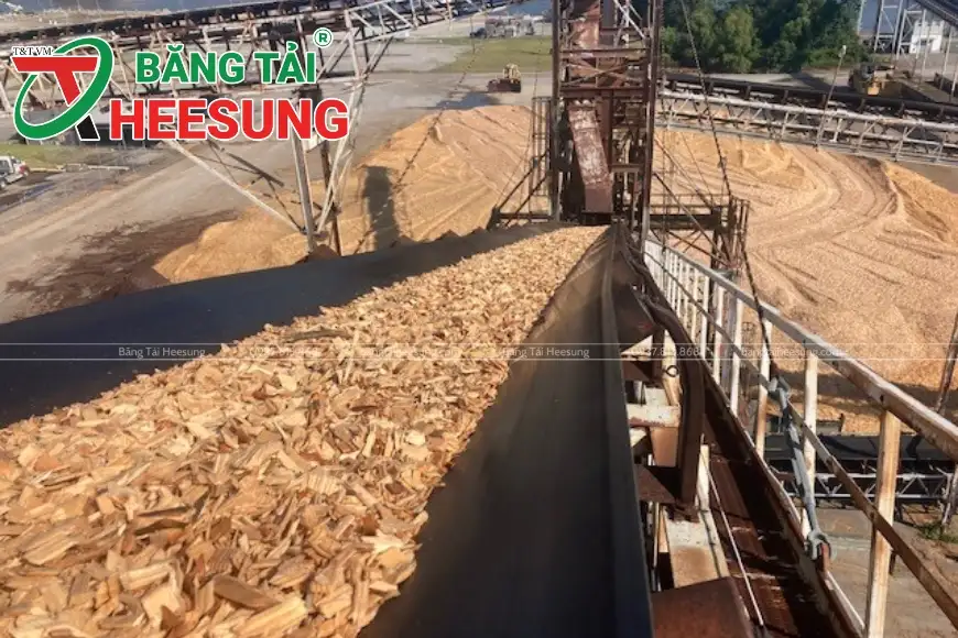 Giấy Bãi Bằng
