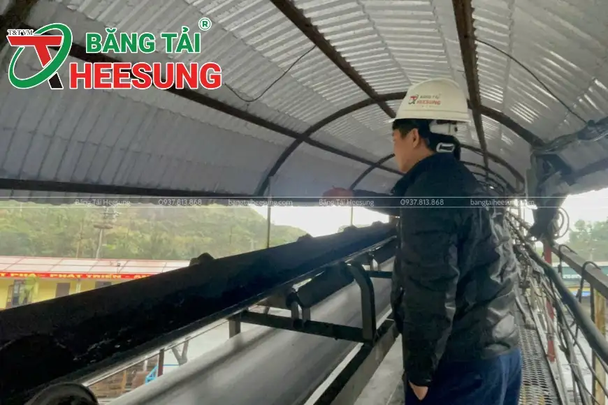 cung cấp băng tải cao su