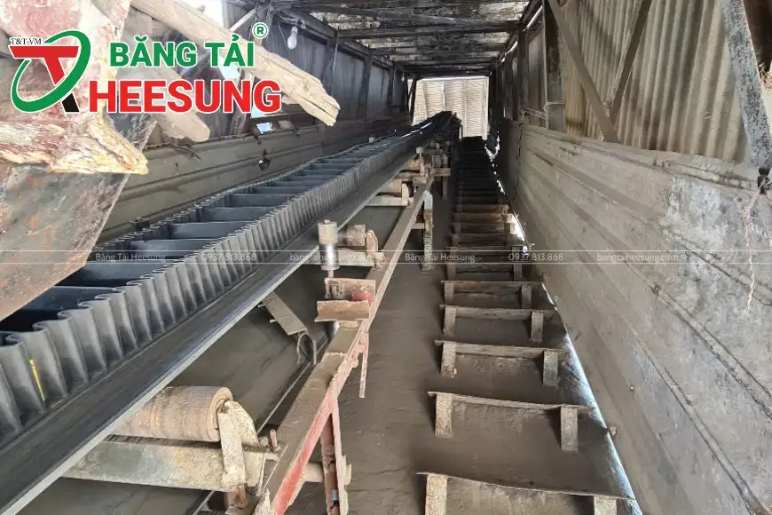 dây chuyền băng tải ở Đà Nẵng
