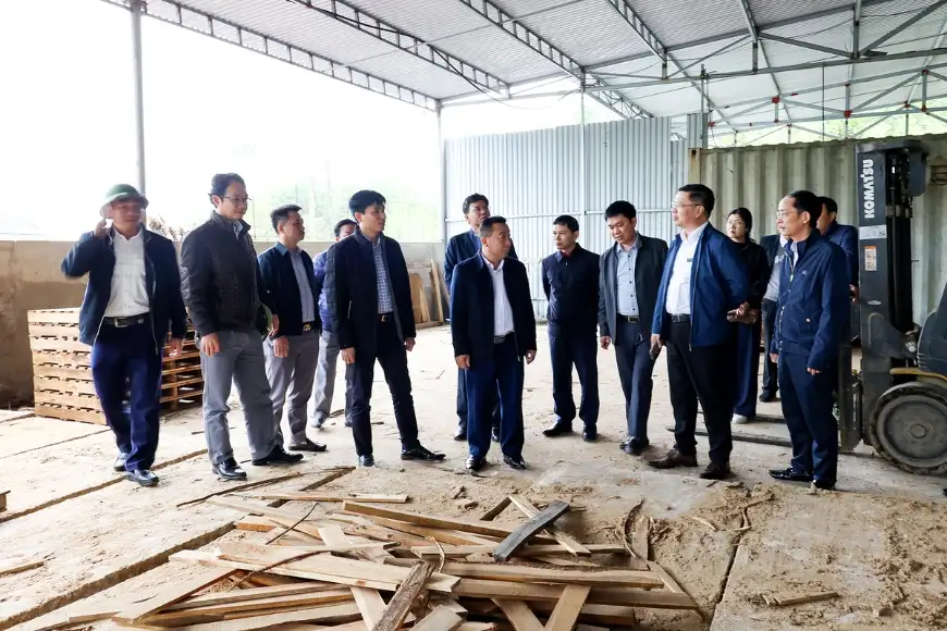 kiểm tra nhà máy dăm gỗ