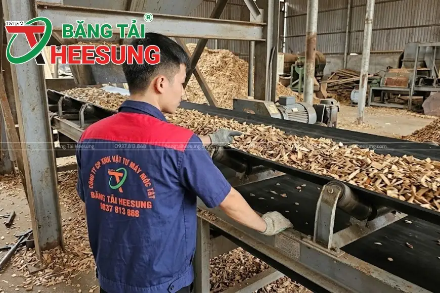 lựa chọn băng tải cao su