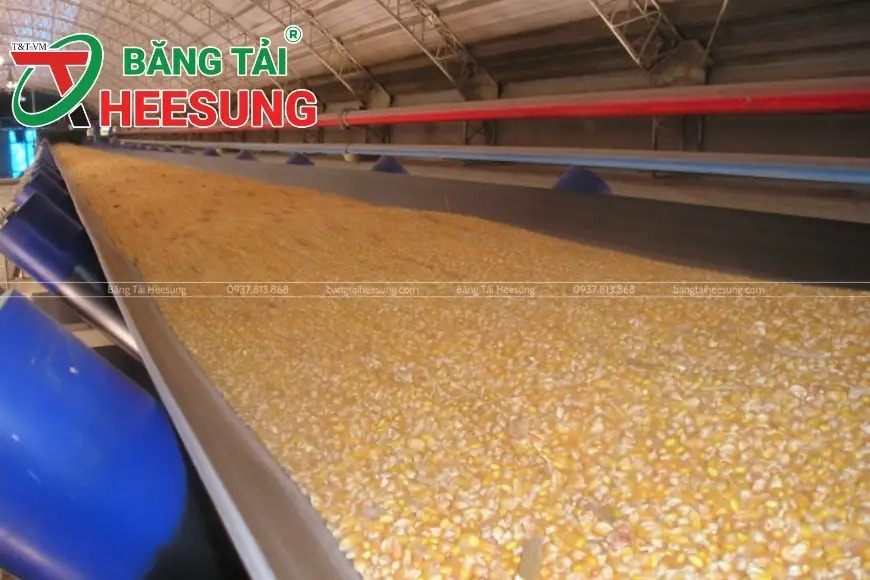 lựa chọn đúng loại băng tải