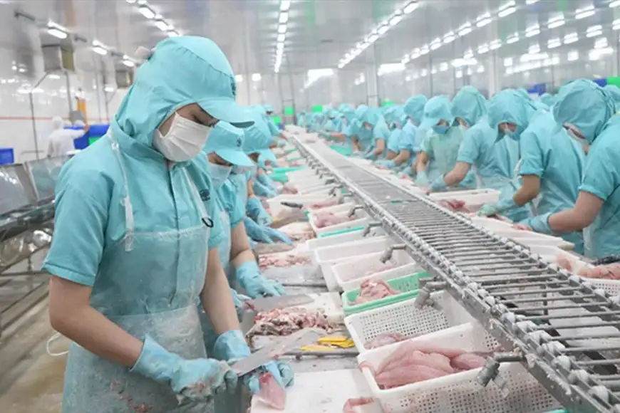 xuất khẩu cá tra, basa