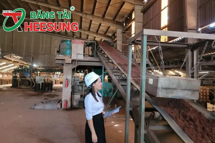 băng tải Heesung và nam châm phẳng TTVM