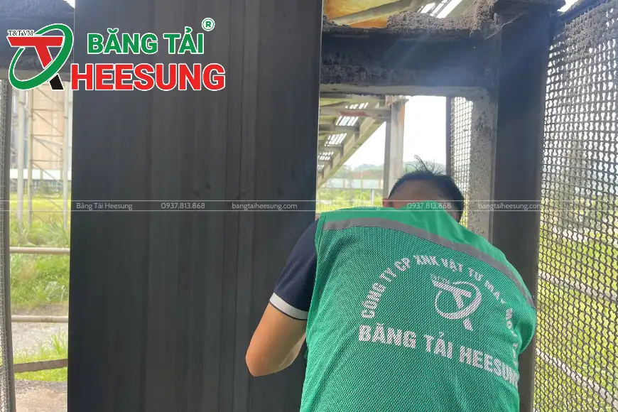 cung cấp 100m băng tải Heesung