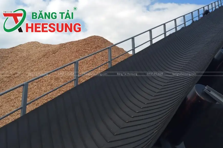 hệ thống băng tải Heesung