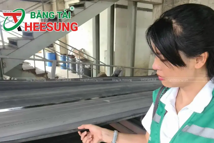 lựa chọn băng tải mép đúc hay mép cắt